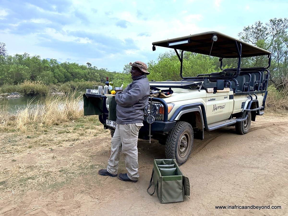 Game drive with Jonathan in Nkomazi